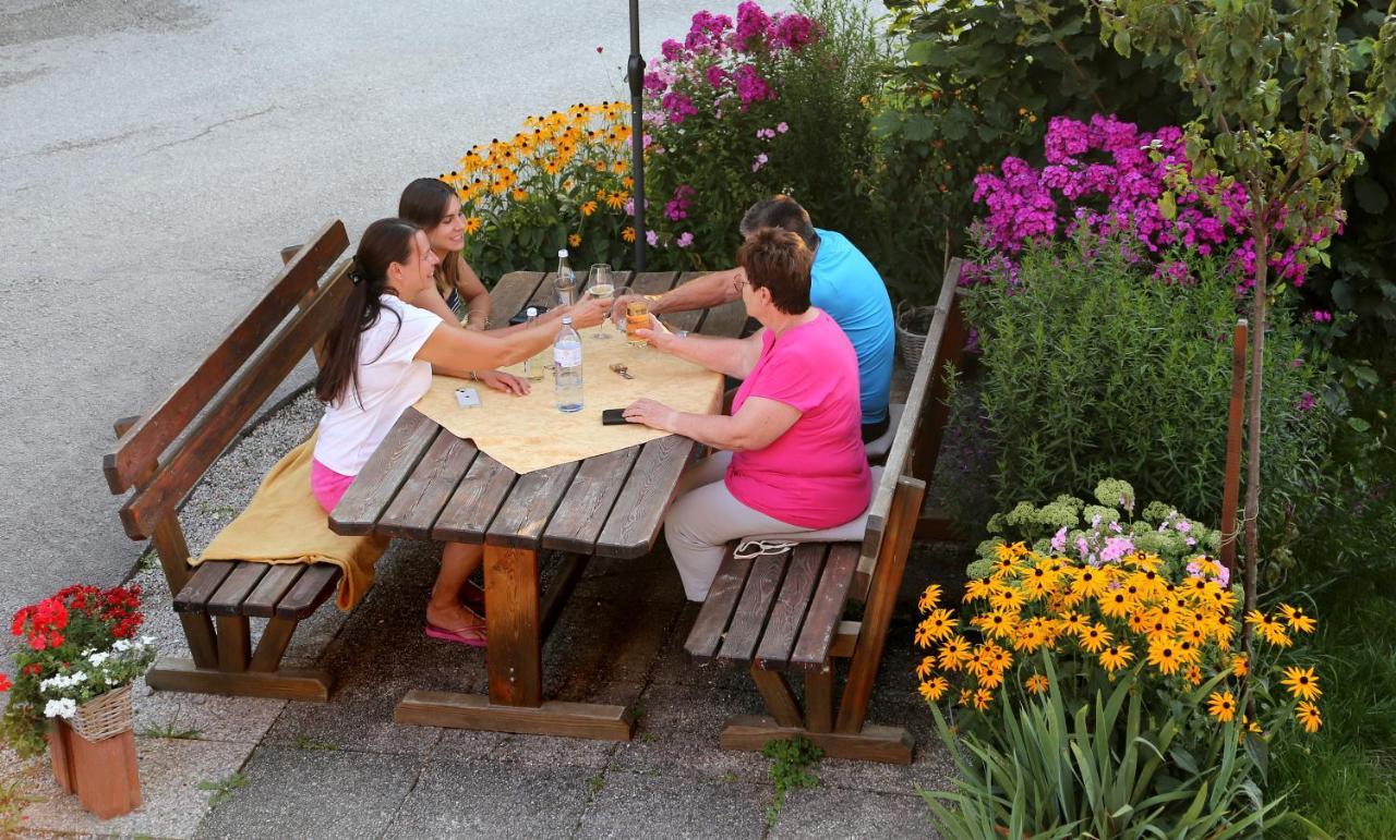 Apartments Haufhof , Haus Im Ennstal Bei Schladming Екстер'єр фото