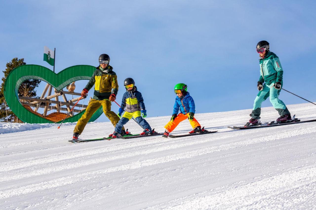 Apartments Haufhof , Haus Im Ennstal Bei Schladming Екстер'єр фото